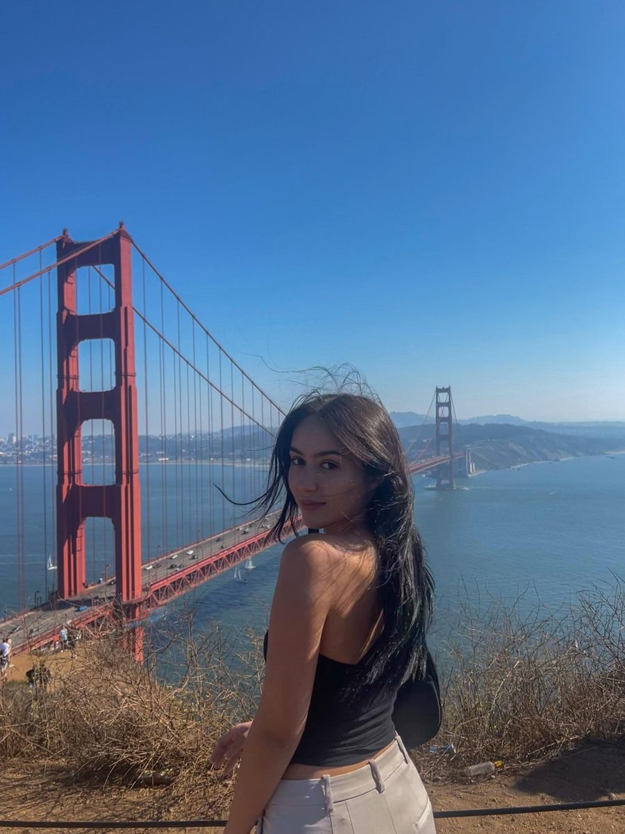 During the Silicon Valley Fellowship